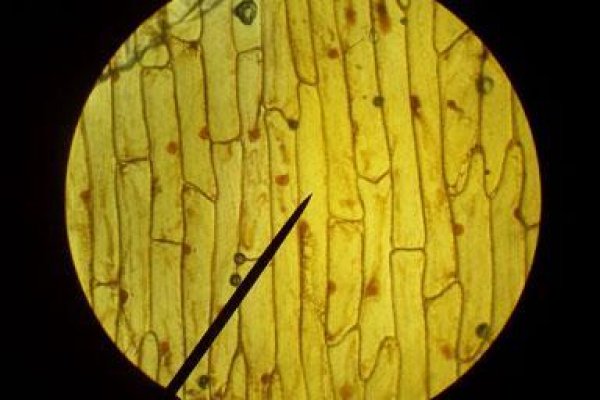 Что случилось с кракеном маркетплейс