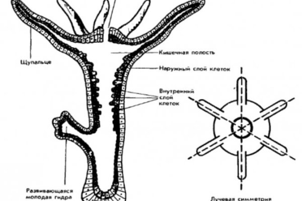 Кракен 2krnk